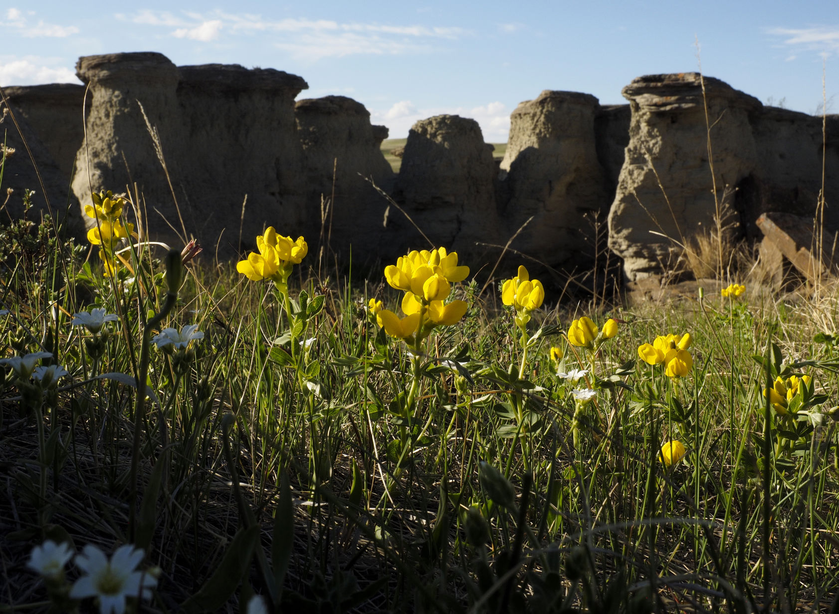 montana magazine rock city2.jpg